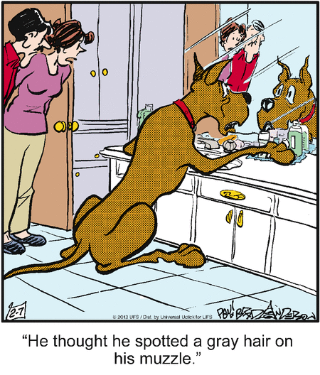 marmaduke